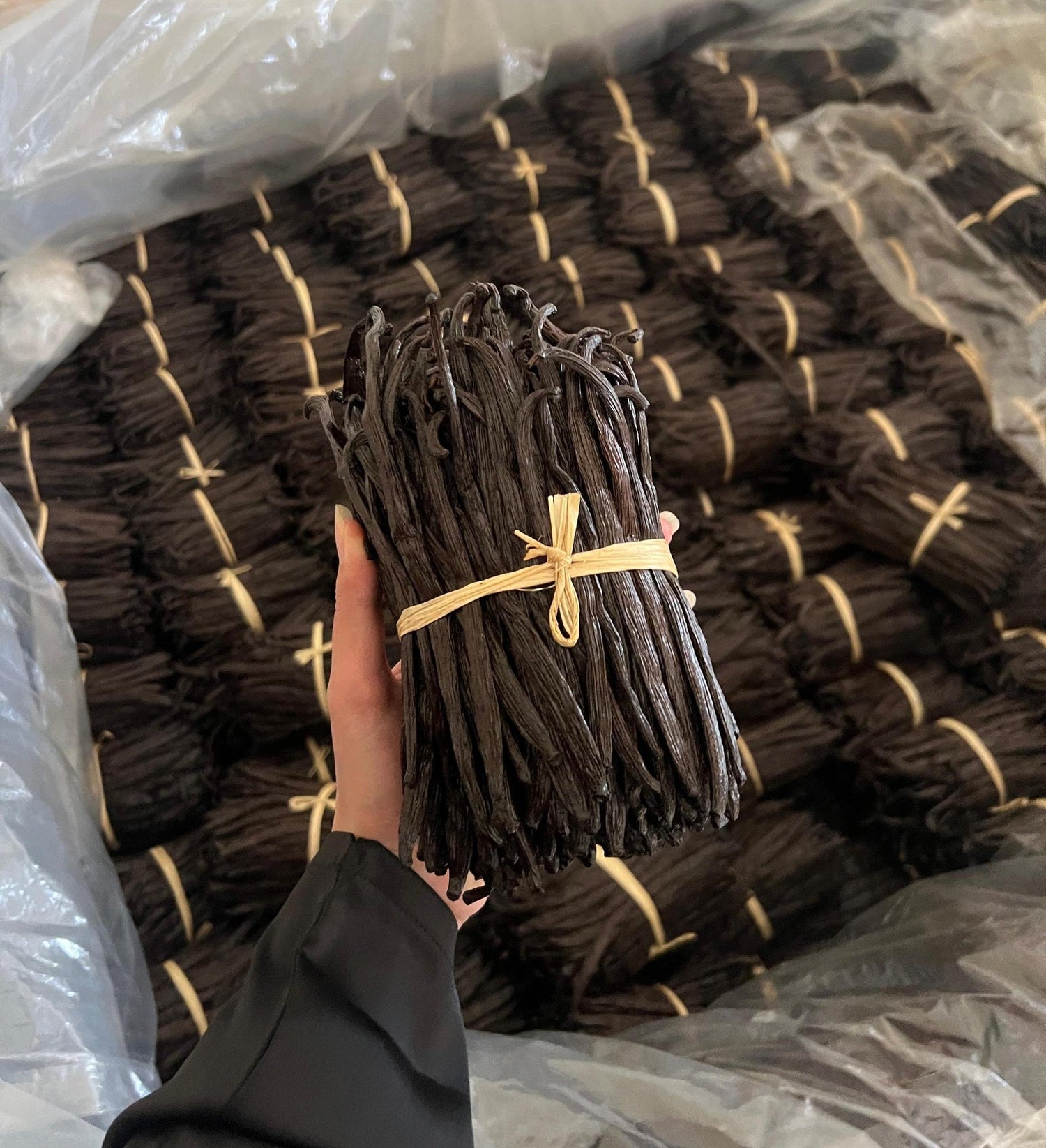 Ugandan Vanilla