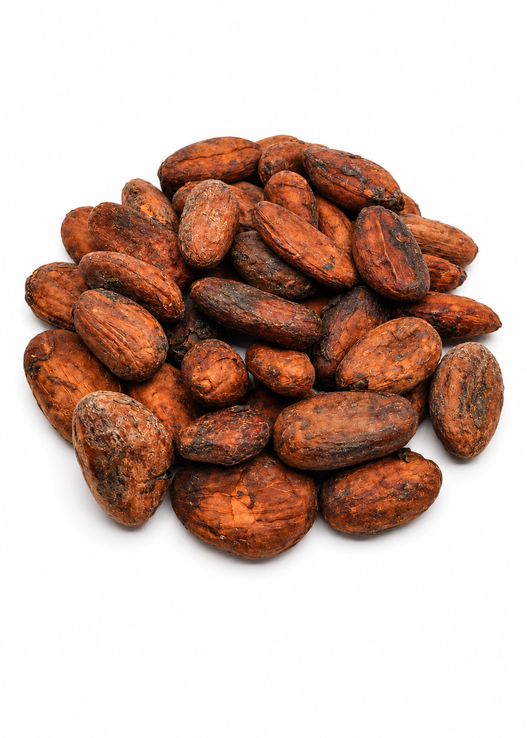 Raw Cacao Beans